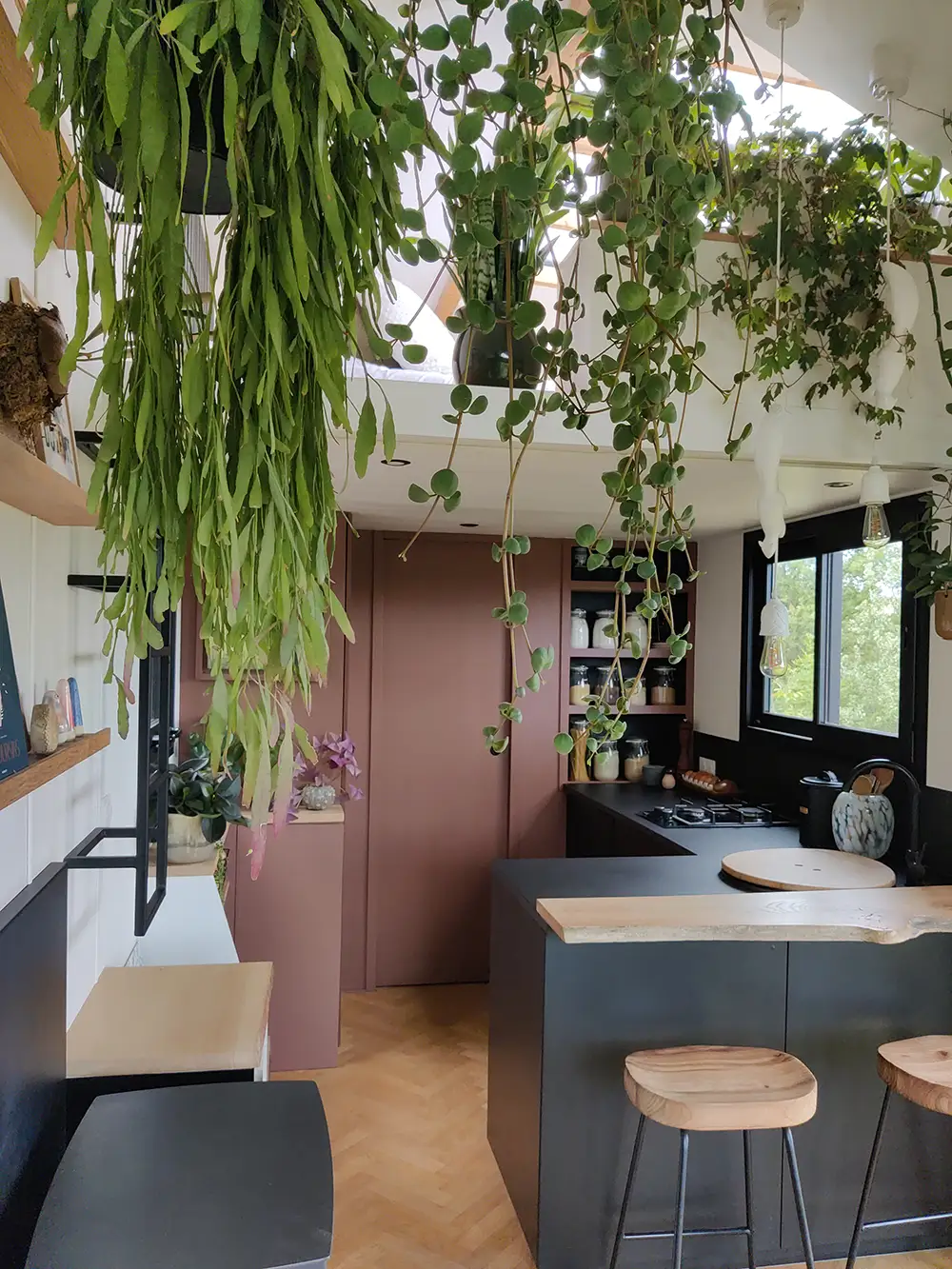 Aménagement intérieur d'une tiny house. Vue intérieure de la cuisine et des plantes suspendues.