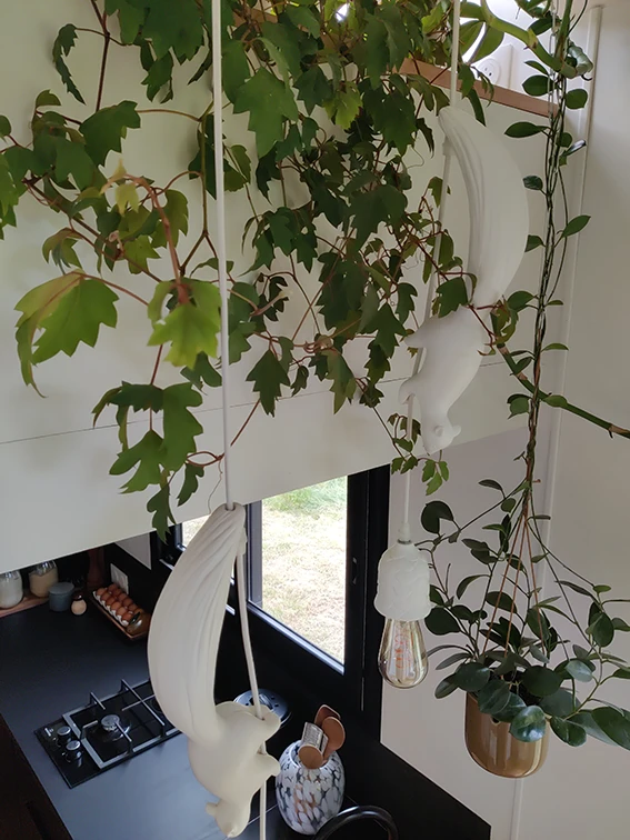 Aménagement intérieur d'une tiny house. Luminaires écureuils dans plantes retombantes.